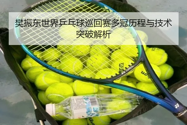 樊振东世界乒乓球巡回赛多冠历程与技术突破解析（chaofan）